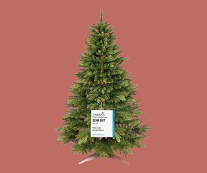 Amazon verkauft Testsieger-Weihnachtsbaum zum Sparpreis