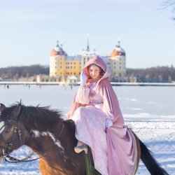 Das ist der perfekte Adventskalender für alle, die „Drei Haselnüsse für Aschenbrödel“ lieben