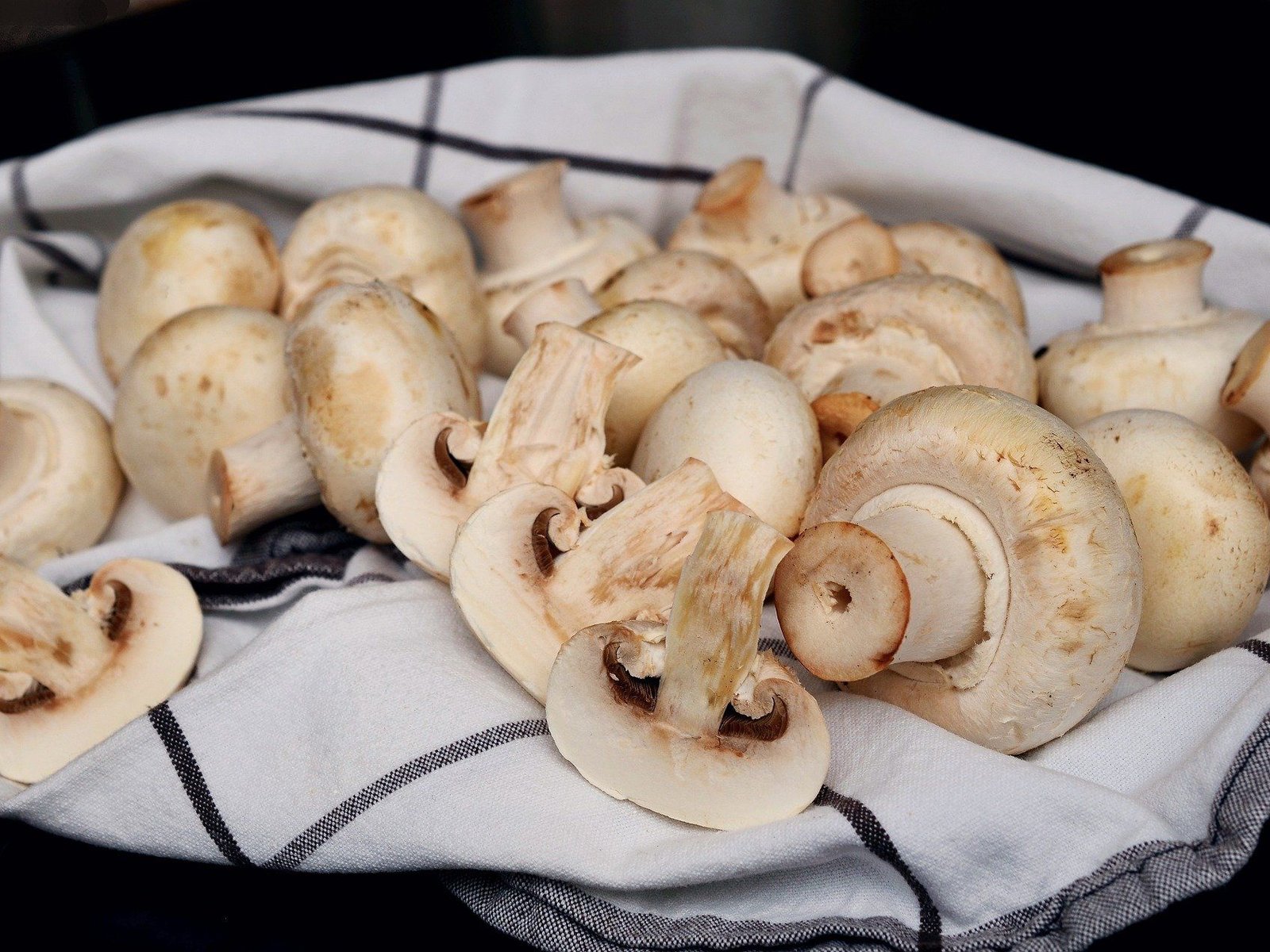 Champignons lagern: Mit diesen Tipps bleiben sie lange frisch