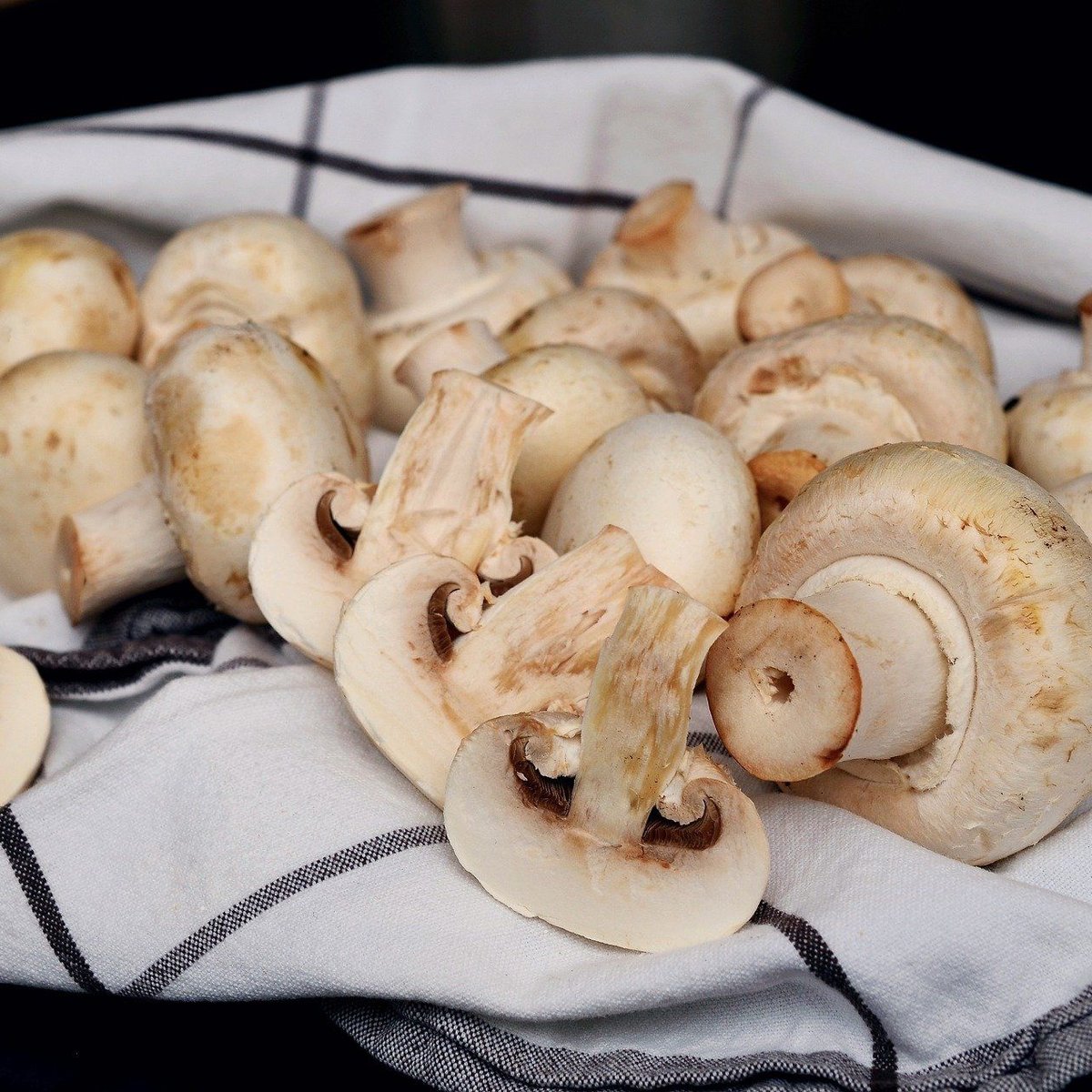 Champignons lagern: Mit diesen Tipps bleiben sie lange frisch