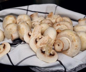 Champignons lagern: Mit diesen Tipps bleiben sie lange frisch