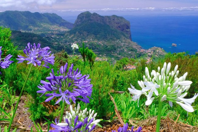 Ein Blick auf Madeira