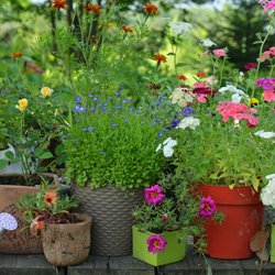 Diese 8 trendigen Pflanzkübel von Amazon sind echte Hingucker in eurem Garten