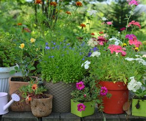 8 stylische Pflanzkübel von Amazon, die ein Highlight in eurem Garten sind