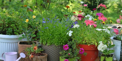 Garten-Upgrade gefällig? Diese 8 Pflanzkübel sind echte Style-Statements
