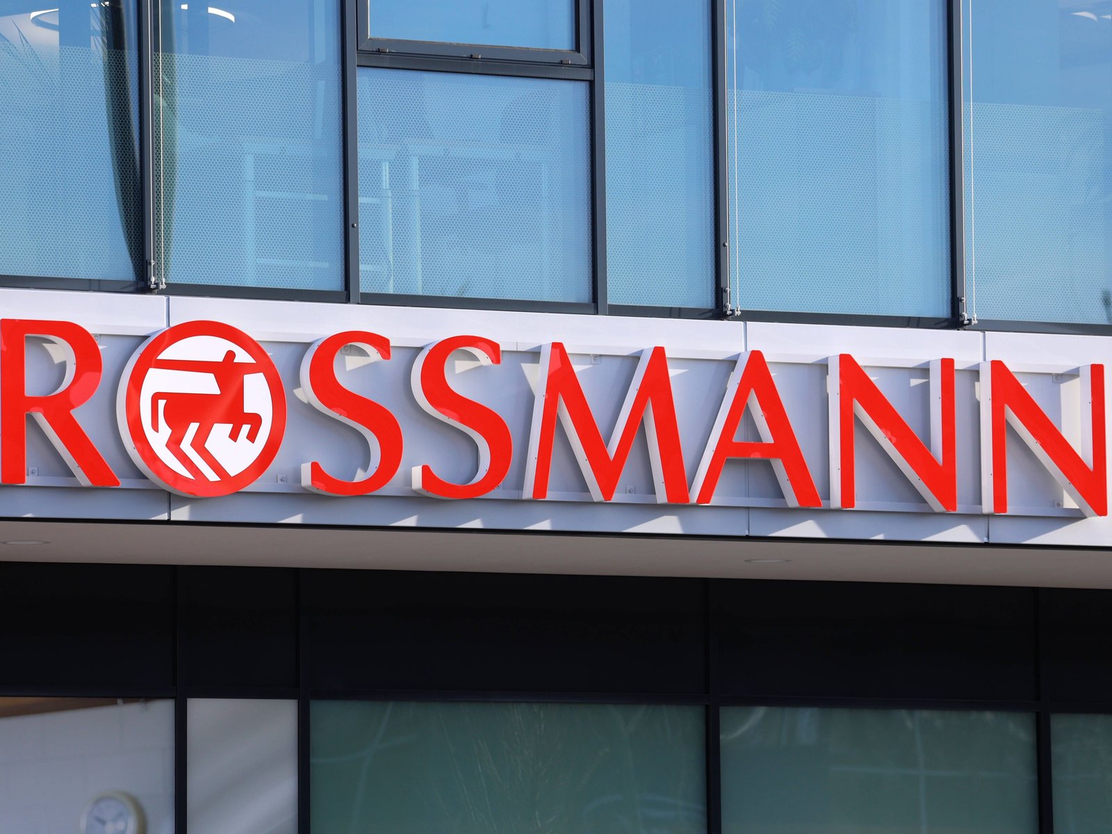 Diese gnstige Katzenstreu von Rossmann ist ein Geheimtipp