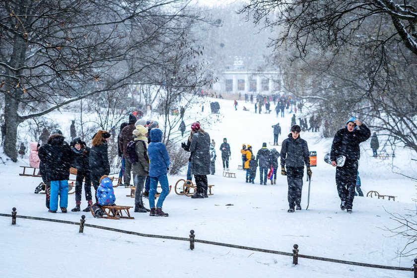 09.02.2021,Berlin,Deutschland,GER,Schneetreiben in der Hauptstadt.Jung und Alt erfreuen sich im Volkspark Wilmersdorf. *** 09 02 2021,Berlin,Germany,GER,Driving snow in the capital young and old enjoy themselves at Volkspark Wilmersdorf 