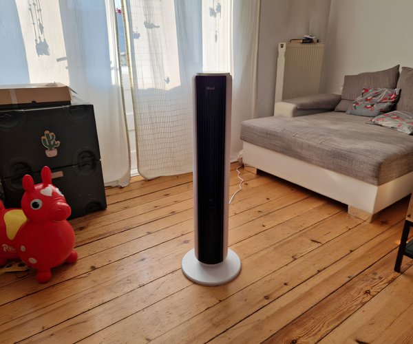 Unterschied Zwischen Sardinen Und Sardellen Sardinen und Sardellen: Was ist der Unterschied?