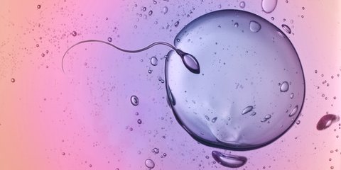 Knstliche Befruchtung: Infos, Tipps & Wissenswertes