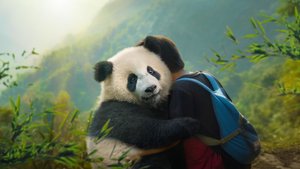 Schwarz-weiße Fellnase erobert die Kinoleinwand: "Moon, der Panda" im Familienfilm-Check