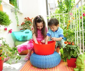 Leckere Vielfalt: Diese essbaren Pflanzen kannst du auf dem Balkon anbauen