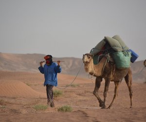 Was ist die berühmte Seidenstraße? Dort führte sie entlang