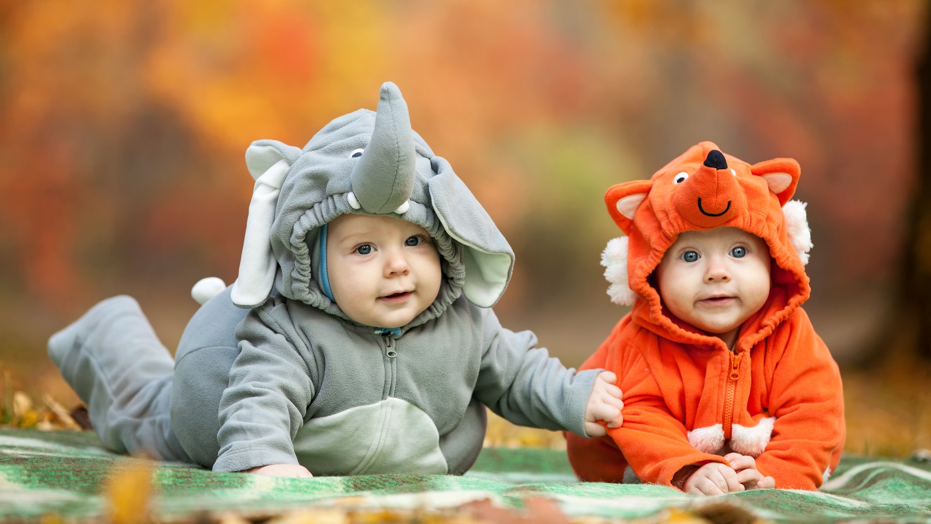 Allence Baby Halloween Kleidung,Niedlich Kleinkind Neugeborenes Baby Jungen Mädchen Halloween Cosplay Kostüm Strampler Hut Bat Outfits Set