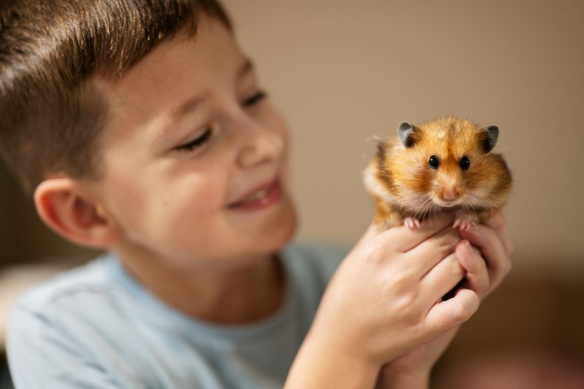Fröhlicher Junge hält süßen Hamster