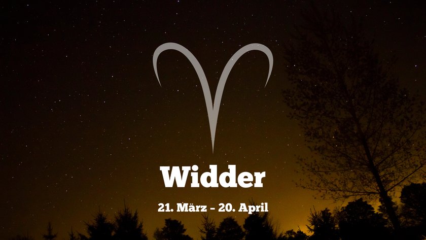 Widder