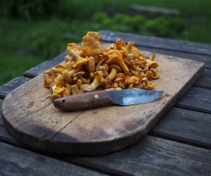 Darf man Pfifferlinge waschen? Am besten geht es mit der Mehl-Methode