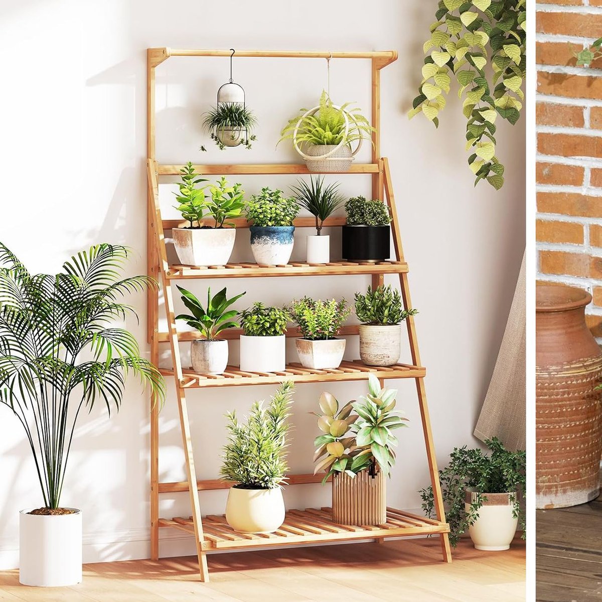 bambus pinneberg Lucky Bamboo – der Glücksbambus am Stiel, Symbol für Gleichgewicht und –  Secret Garden Plant Shop main image 1