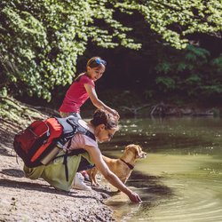 Wandern und Campen: Diese Amazon-Gadgets machen deinen Ausflug mit Hund unvergesslich