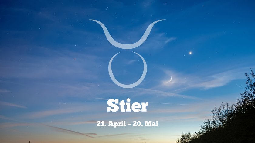 Stier