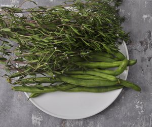 Bohnenkraut und Schwangerschaft: Im Gewürzschrank lassen?