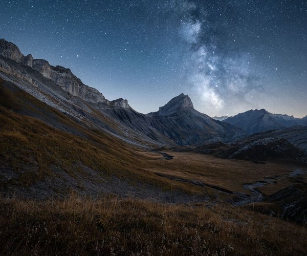  Wann blühen Forsythien? Kurz erklärt 