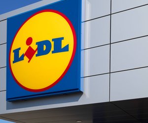 Magische Festtagsdeko: Der weihnachtliche Zauberwald für dein Fenster von Lidl