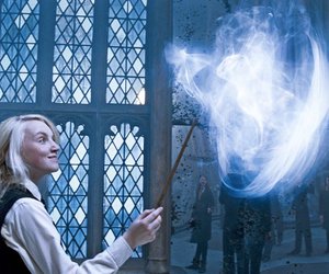 Zauberhaftes Must-have: Der Patronus-Kalender für 2025 bei Thalia begeistert „Harry-Potter“-Fans