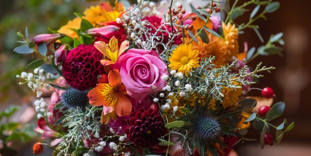 Blumen-Abo im Vergleich: 5 Anbieter, die Freude ins Haus bringen