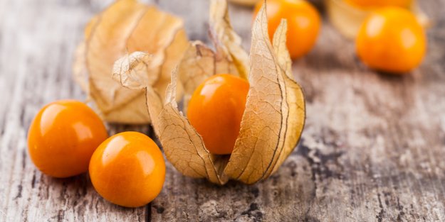 Physalis in der Schwangerschaft: Darf ich sie essen?