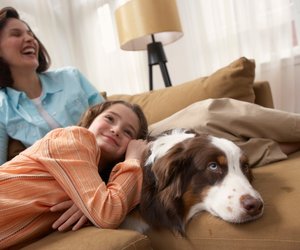 Kinderfilme mit Tieren: Unterhaltung auf vier Pfoten