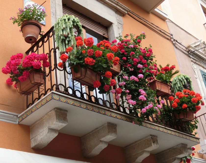 Balkonkasten gestalten bepflanzen Ideen Blumen