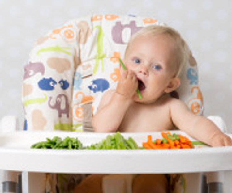 Mit Dem Baby Am Gemeinsamen Tisch Essen Familie De