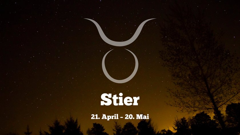 Stier