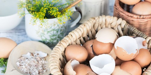 Eierschalen-Upcycling: 11 brillante Ideen, die dich garantiert verblüffen werden