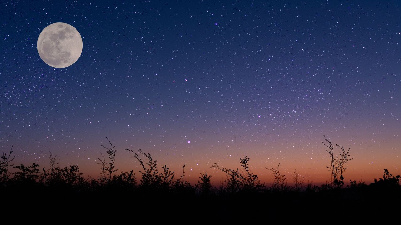 Graslandschaft mit Vollmond