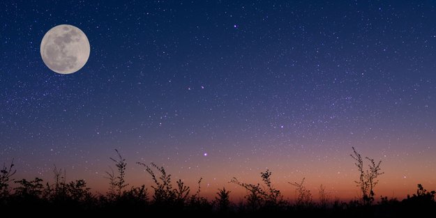 22. November 2024: Das Tageshoroskop für 3 ausgewählte Sternzeichen