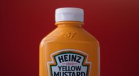 Vegan: Ist Senf ein pflanzliches Produkt?