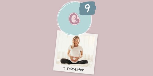 9. SSW: Jetzt bekommst du (bald) das erste Ultraschallbild von deinem Baby