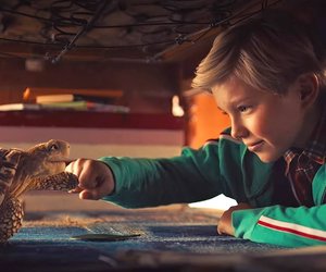 Magische Abenteuer für kleine Entdecker: Spielzeug aus "Die Schule der magischen Tiere“