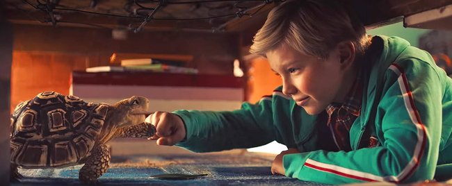 Diese 13 Bastelsets und Spielzeuge verkürzen die Wartezeit auf "Die Schule der magischen Tiere 4" – und sie sind krass reduziert!