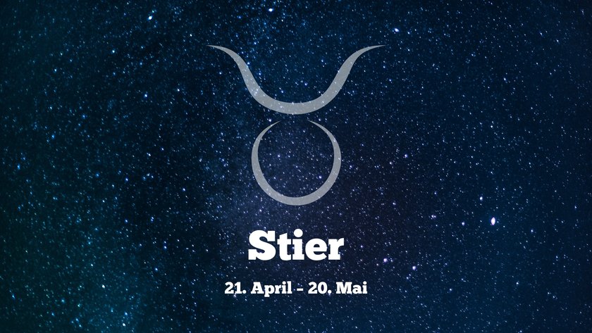 Stier