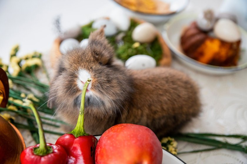 Auch Spitzpaprika sind als Futter für Kaninchen geeignet.