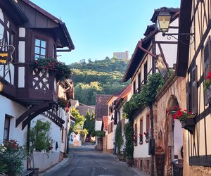 9 Gründe, warum ein Familienurlaub in der Pfalz echt super ist