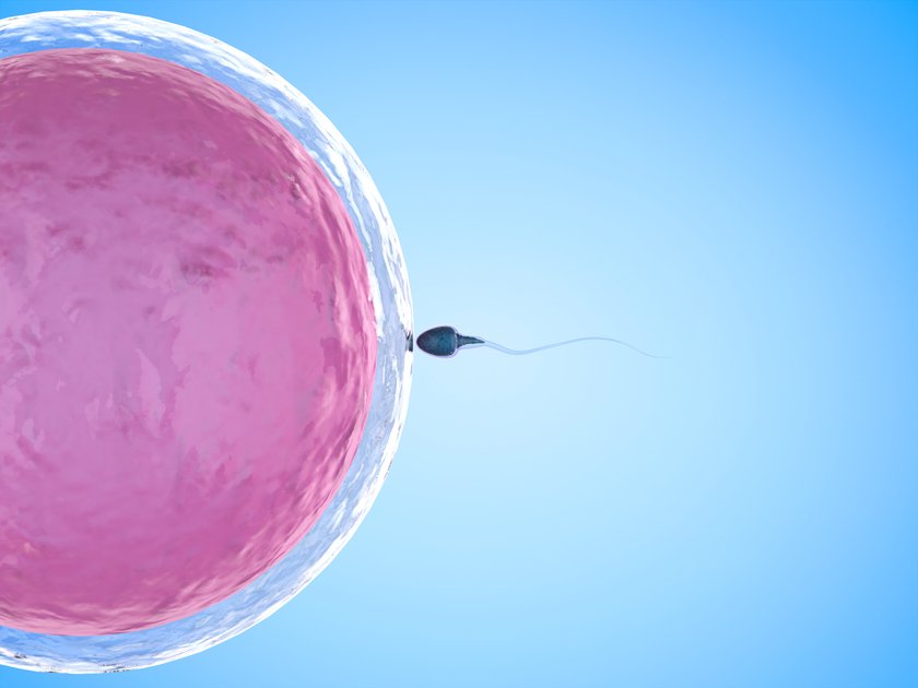 Schnell schwanger werden Sperma