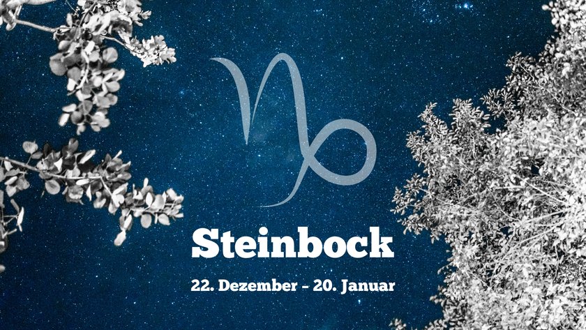 Steinbock