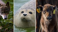 Deutsche Wildtierparks: Diese 11 sind ein Highlight für Kinder