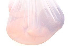 Bio-Bag: Knstliche Gebrmutter fr Frhchen