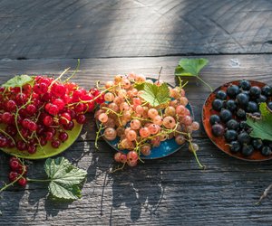 Johannisbeeren und Stillen: Passt das gut zusammen?