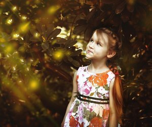 Warum leuchten Glühwürmchen? Für Kinder erklärt