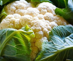 Blumenkohl & Schwangerschaft: So gesund ist der Kohl